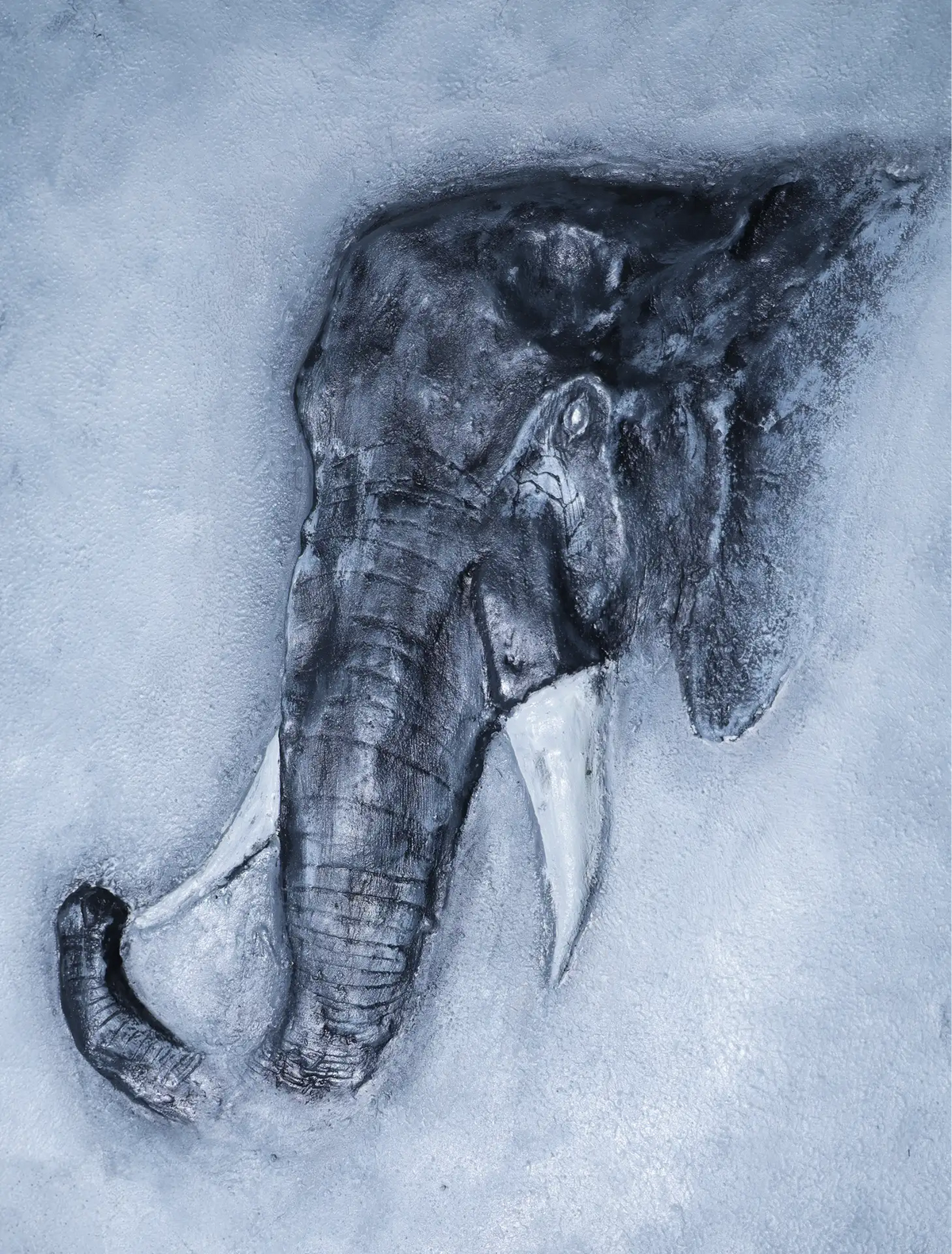 The Elephant Portrait