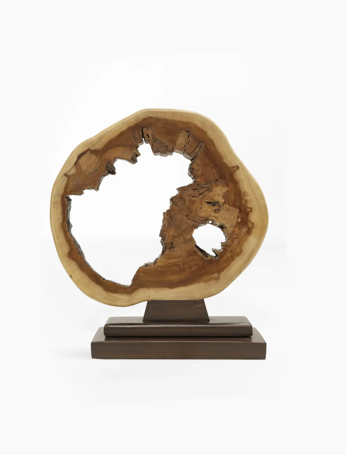The Natural Wood Hollow