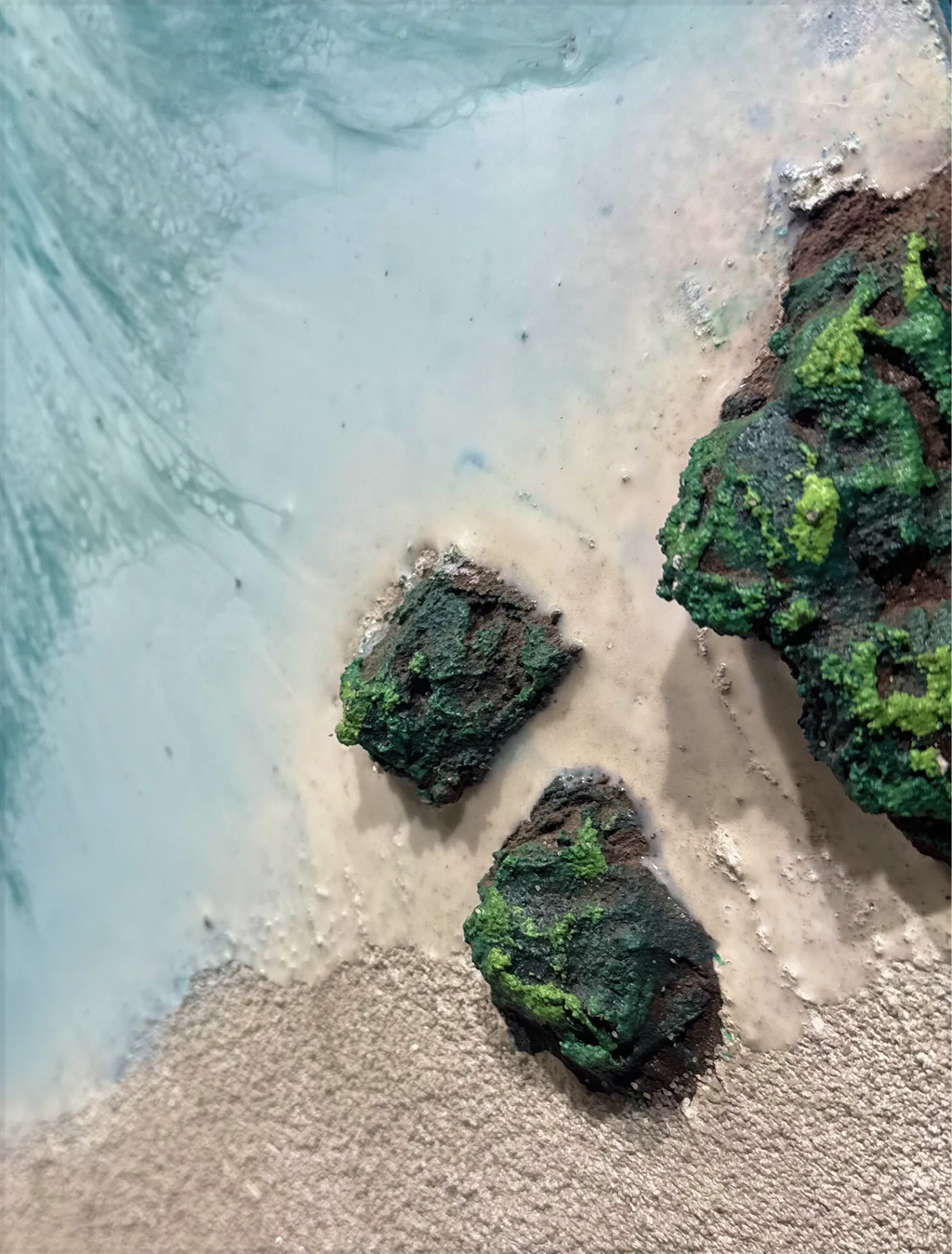 The Ocean Shore