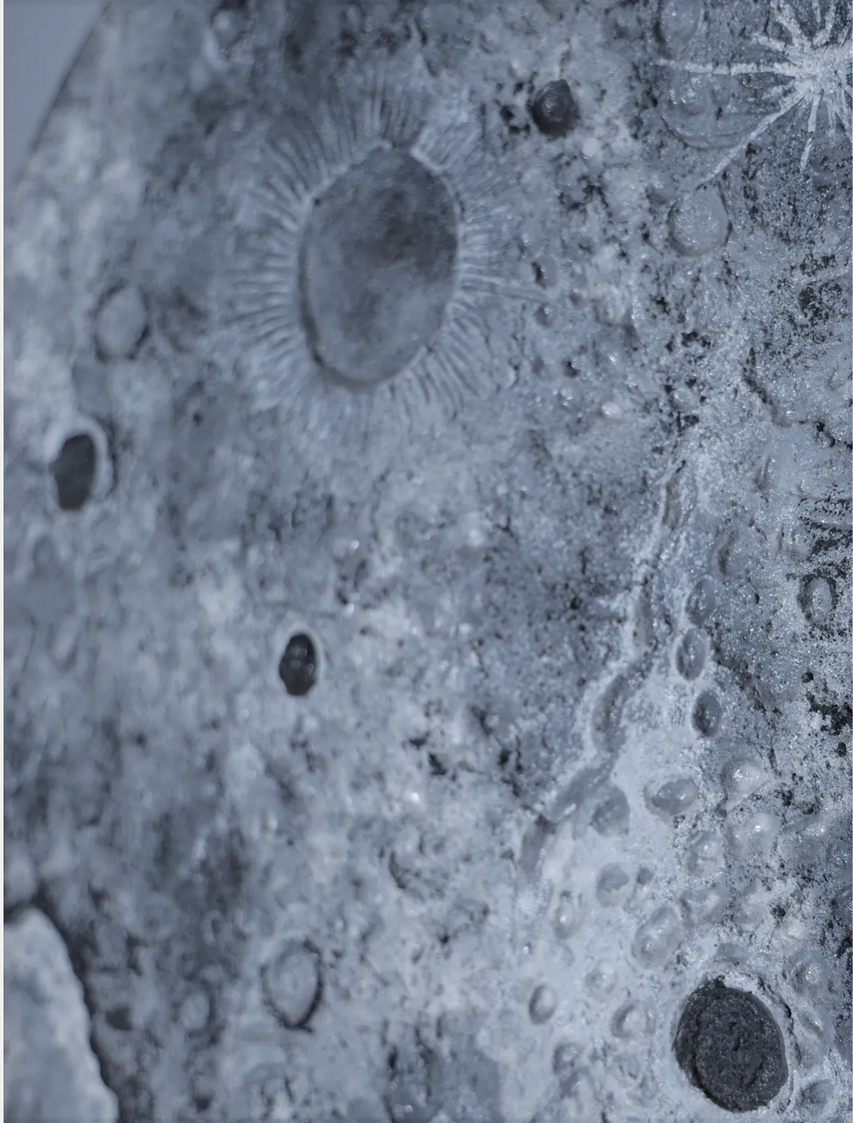 The Lunar Topography
